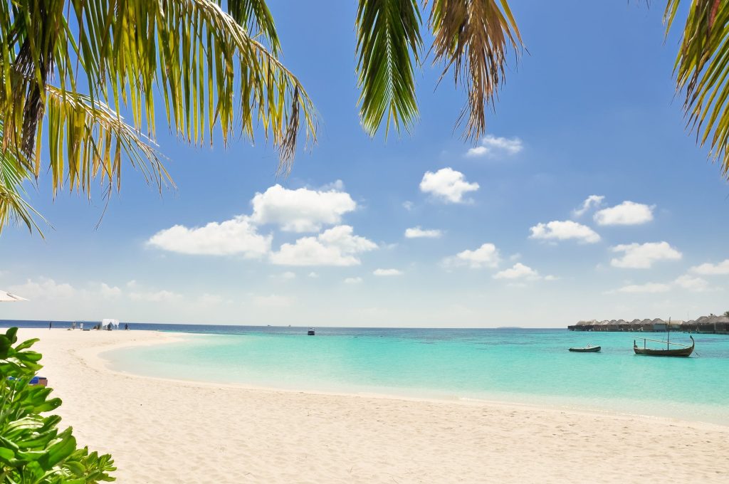 Business owner on a beach